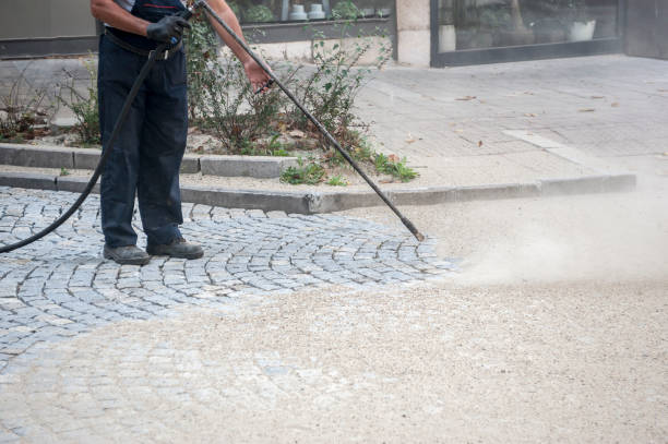 Best Gutter Cleaning  in Taylor Creek, OH