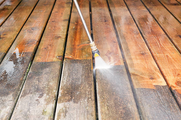Best Fence Cleaning  in Taylor Creek, OH